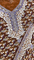 Brown Floral Fabric with White and Blue Embroidered Neckline